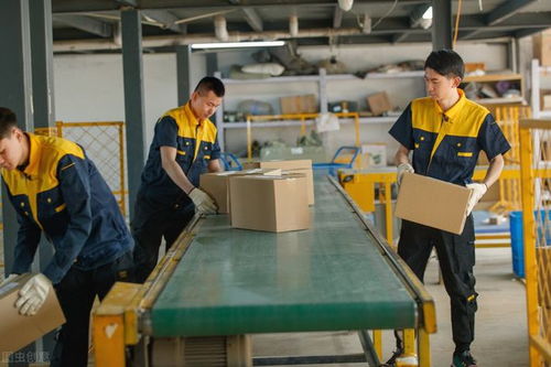 進工廠還是送外賣 哪個更賺錢？年輕人如何選擇